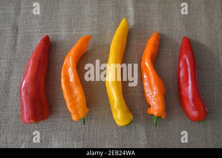 Bunte Paprika Gemüse Stockfoto