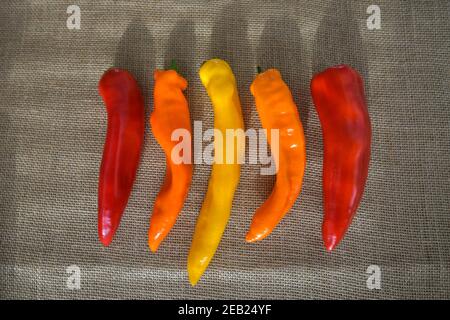 Bunte Paprika Gemüse Stockfoto