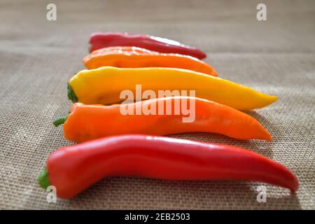 Bunte Paprika Gemüse Stockfoto