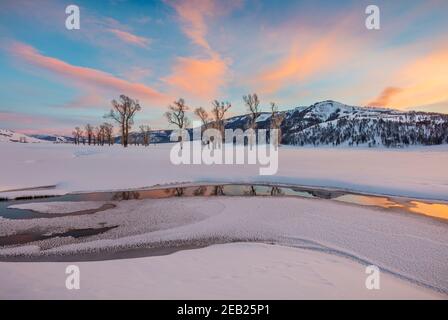 Yellowstone National Park, Wyoming: Bunte Wolken und Baumwollwälder spiegeln sich im Lamar River bei Sonnenuntergang im Lamar Valley mit Amethyst Peak in t Stockfoto