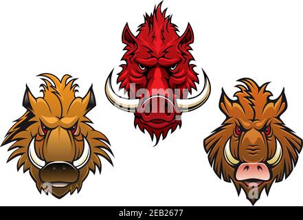 Cartoon heftige Wildschweine Zeichen mit bedrohlichen gekrümmten Stoßzähne und Erzärte Augen Stock Vektor