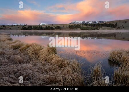 Yellowstone National Park, WY: Farbenfroher Sonnenaufgang auf Swan Lake Flats mit Gallatin Range in der Ferne Stockfoto