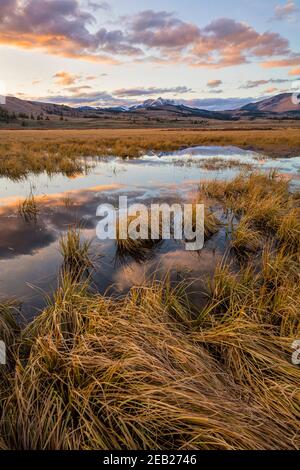 Yellowstone National Park, WY: Sonnenuntergang Licht auf stillem Wasser und Gräser von Swan Lake Flats mit Electric Peak in der Ferne Stockfoto