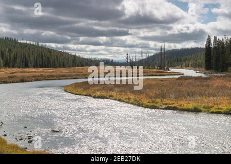 Herbstansicht der Sonne scheint auf lewis River von yellowstone Nationalpark in den vereinigten Staaten Stockfoto