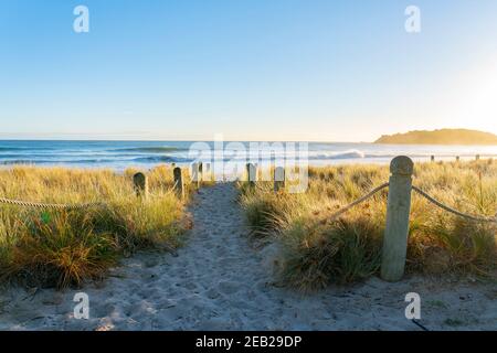 Weg zwischen Pollern und grasbewachsenen Dünen zum Strand am Mount maunganui Mainbeach Neuseeland. Stockfoto