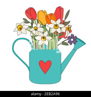 Gartenbewässerungskanne mit Frühlingsblumen Tulpen und Narzissen. Vektorgrafik EPS10 Stock Vektor