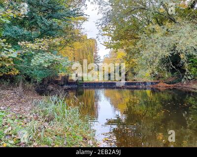 Fluss Trent Strom, Herbst Bäume im Wasser Reflexion, Great Haywood, Stafford, Herbst, schwarzes Land, Shugborough Hall Estate, Cannock Chase Stockfoto