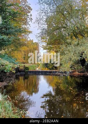 Fluss Trent Strom, Herbst Bäume im Wasser Reflexion, Great Haywood, Stafford, Herbst, schwarzes Land, Shugborough Hall Estate, Cannock Chase Stockfoto