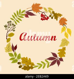 Dekoratives herbstliches Rahmendesign mit Herbstblättern und Ästen aus Eiche, mit Eicheln und Büschel Viburnum Stock Vektor