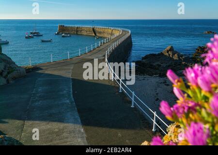 High Tide am La Rocque Hafen, Grouville, Jersey, Kanalinseln. Stockfoto