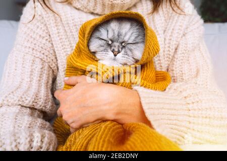 Frau in gemütlichen Pullover hält niedliche Katze im Karo. Katze ruht und erwärmt sich unter einer weichen Decke im kalten Herbst oder Winter. Gemütliches, warmes Bild Stockfoto