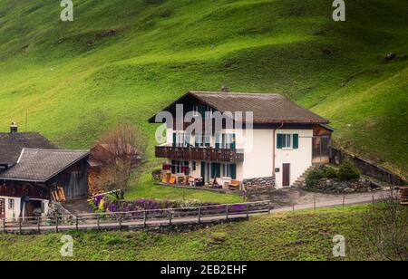 Countryside Valley Blick auf die Schweizer Alpen mit traditionellem Schweizer Haus in Zermatt City, Schweiz. Ländliche Landschaft und erstaunliche Natur Grüne Felder von Alpin Stockfoto