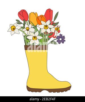 Gartenstiefel mit Blumen Tulpen und Narzissen. Federkonzept. Vektorgrafik. EPS10 Stock Vektor