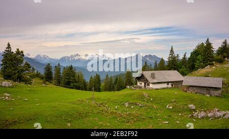 Kohler Alm bei Inzell, bayerische alpen, Chiemgau, mit Blick Richtung Sonntagshorn und Loferer Steinberge Stockfoto