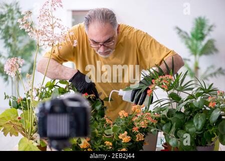 Alter männlicher Gärtner mit Pflanzen zu Hause Stockfoto