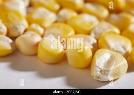 Kerne von getrockneten Dentkörnern Stockfoto