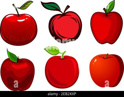 Frische und reife rote Apfelfrüchte mit grünen Blättern und Glatte glänzende Haut isoliert auf weißem Hintergrund Stock Vektor