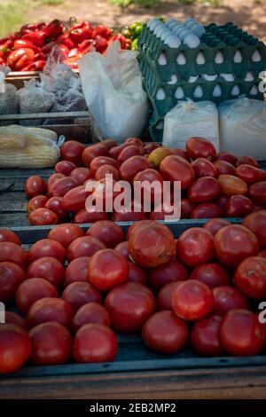 Eier, Mais, Tomaten, Maniok, Maniok, Mehl, gemahlen Stockfoto