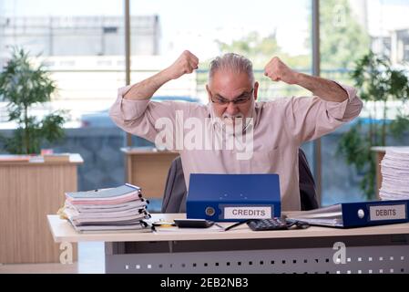 Erfahrener männlicher Buchhalter im Budgetplanungskonzept Stockfoto