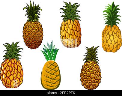 Tropische saftige gelbe Ananasfrüchte mit Kronen von Stachelgrün Blätter isoliert auf weißem Hintergrund Stock Vektor