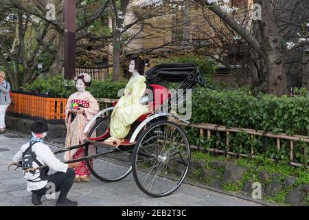 Kyoto Japan zwei Geisha-gekleidete Frauen und ein Rikscha-Fahrer posieren für Fotos auf Shirakawa-minami dori im Gion-Viertel unter der Kirsche Stockfoto