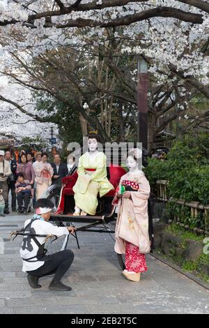 Kyoto Japan zwei Geisha-gekleidete Frauen und ein Rikscha-Fahrer posieren für Fotos auf Shirakawa-minami dori im Gion-Viertel unter der Kirsche Stockfoto