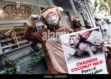 Los Angeles, Usa. Februar 2021, 11th. PETA-Aktivisten in Affenkostümen halten Plakate während eines Protestes gegen Thailands Chaokoh-Marke, weil sie angeblich Affen dazu zwingen sollen, auf Bäume zu klettern, Kokosnüsse zu sammeln und sie unter grausamen Bedingungen zu halten. Große US-Einzelhändler wie Costco und Target stoppten den Verkauf von Chaokoh Kokosmilch über Vorwürfe der Zwangsarbeit von Affen. Kredit: SOPA Images Limited/Alamy Live Nachrichten Stockfoto