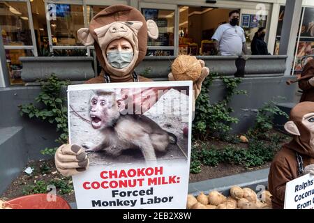 Los Angeles, Kalifornien, USA. November 2020, 16th. PETA-Aktivist in einem Affenkostüm hält ein Plakat und Kokosnuss während eines Protestes gegen Thailands Chaokoh-Marke, weil sie angeblich Affen dazu zwingen sollen, auf Bäume zu klettern, um Kokosnüsse zu sammeln und sie unter grausamen Bedingungen zu halten. Große US-Einzelhändler wie Costco und Target stoppten den Verkauf von Chaokoh Kokosmilch über Vorwürfe der Zwangsarbeit von Affen. Kredit: Ronen Tivony/SOPA Images/ZUMA Wire/Alamy Live Nachrichten Stockfoto