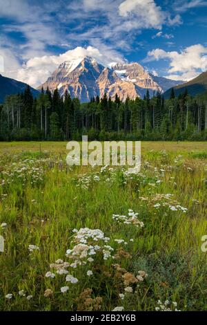 Mount Robson, der höchste Berg in den kanadischen Rockies, British Columbia, Kanada Stockfoto