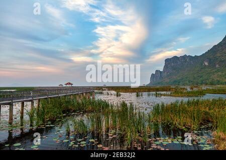 Lotus Teich im Sam ROI Yot Nationalpark am Abend ist der Dämmerungshimmel in der Prachuap Khiri Khan Thai Provinz. Stockfoto