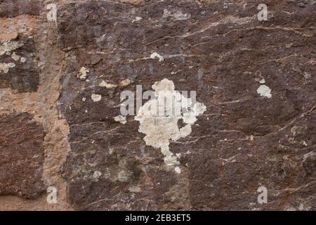 Detail einer weißen Flechte auf einer roten Ziegelwand Mit Streifen im Felsen Stockfoto