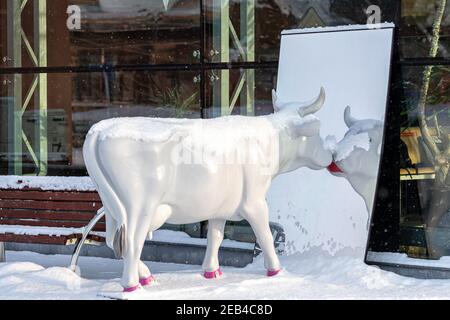 Ventspils, Lettland, 5. Februar 2021: Süße und lustige weiße Kuh mit bemalten Lippen, die an einem verschneiten Wintertag in den Spiegel schauen, eine der vielen Statuen Stockfoto