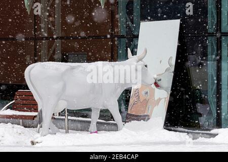 Ventspils, Lettland, 5. Februar 2021: Süße und lustige weiße Kuh mit bemalten Lippen, die an einem verschneiten Wintertag in den Spiegel schauen, eine der vielen Statuen Stockfoto