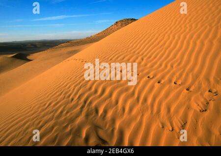 Wüste Sanddünen. Fotografiert im Großraum Aravah, Negev-Wüste, Israel Stockfoto