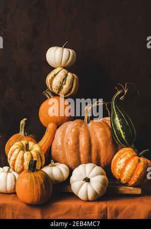Kürbisse für Halloween oder Thanksgiving Tag Herbstferien Dekoration. Bunte Kürbisse in verschiedenen Formen und Größen balancieren in einer Pyramide Zusammensetzung, dunkel rostigen Wand Hintergrund. Saisonales Herbstfutter Stockfoto
