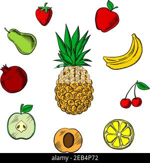 Farbenfrohe Symbole mit frischen Früchten im Skizzenstil mit tropischer Ananas, umgeben von grünen und roten Äpfeln, Orange, Aprikose, Bananen, Birne, Granatapfel Stock Vektor