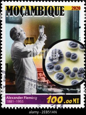 Alexander Fleming bei der Arbeit an der Briefmarke Stockfoto