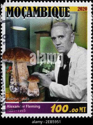 Porträt von Alexander Fleming auf Briefmarke Mosambik Stockfoto