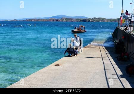 Kinder krabben vom Slipway auf der Insel Iona In den inneren Hebriden von Schottland Stockfoto