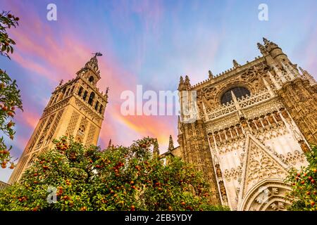 Kathedrale von Sevilla und Giralda, aus dem Orangenen Garten, in Sevilla, Andalusien, Spanien Stockfoto