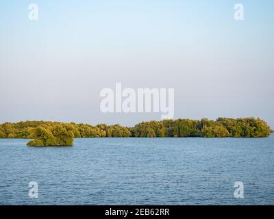 Mangrovenwald, wo der Golf von Thailand auf die Küste der Provinz Chachoengsao in Thailand trifft. Foto aufgenommen bei Flut am späten Nachmittag. Stockfoto