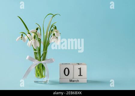 Weiße Schneeglöckchen in einer Glasvase mit Schleife und ewiger Kalender mit Datum 01 märz auf blauem Hintergrund. Kleiner Bukett der ersten Frühlingsblumen Stockfoto