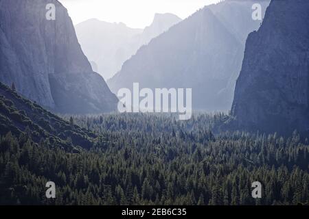 Blick auf Yosemite vom Tunnel Blick nach SunriseYosemite National Park California, USA LA000524 Stockfoto