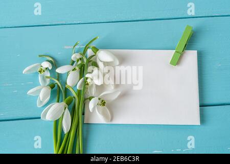 Kleiner Blumenstrauß von Galanthus nivalis Schneeglöckchen auf Papier blank mit grüner Wäscheklammer gegen blauen Holzschreibtisch. Vintage Frühling Saison Feiertage grüßen Stockfoto
