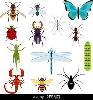 Bunte Draufsicht Insekten-Ikonen mit Biene, Heuschrecke, Ameise, Fliege, Libelle und Marienkäfer, Spinne und Mücke, Raupe, Hirschkäfer und Skorpion. ICH Stock Vektor