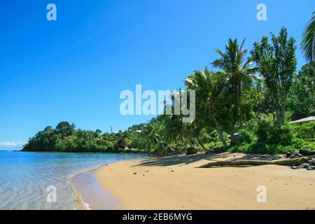 Sandstrand exotische Inselküste in der Nähe von Salelesi Dorf an sonnigen Tagen, Upollu Insel West-Samoa, Polynesien, Pazifischer Ozean Stockfoto