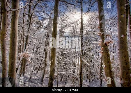 DE - BAYERN: Winterszene bei Bad Tölz Stockfoto