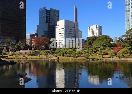 TOKIO, JAPAN - 2. DEZEMBER 2016: Besucher besuchen den Kyu Shiba Rikyu Garten in Tokio, Japan. Tokio ist die Hauptstadt Japans. 37.8 Millionen Menschen leben in Stockfoto