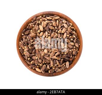 Milk Thistle Samen in Holzschale, isoliert auf weißem Hintergrund. Silybum marianum, Scotch Thistle oder Marian Thistle. Draufsicht. Stockfoto