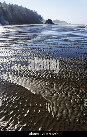 Zweiter Strand am Low TideOlympic National Park Washington State USA LA001616 Stockfoto